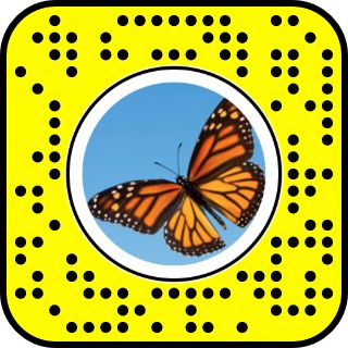 The Butterflies Lens on Snapchat